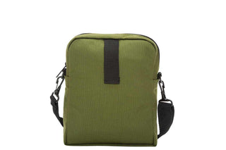 City Lights Olive